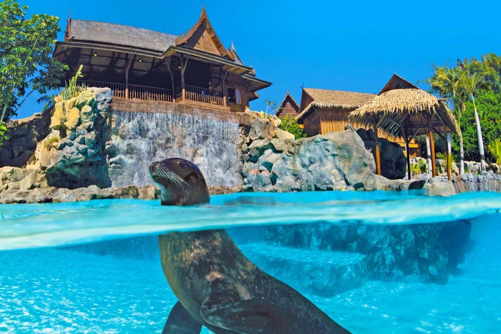 Atracciones para relajarte en Siam Park