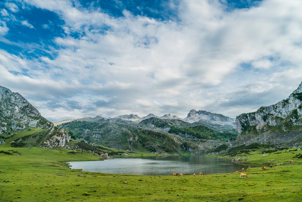 Excursiones que hacer desde Gijón: Lagos de Covadonga