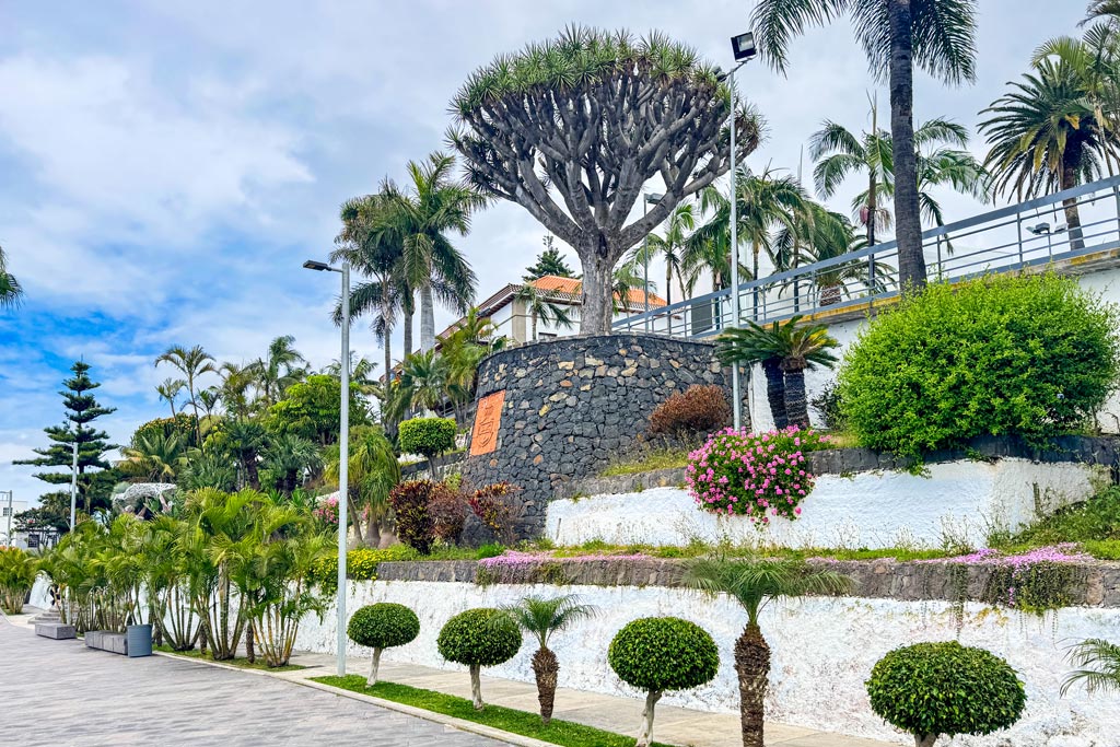 Cómo llegar a El Sauzal