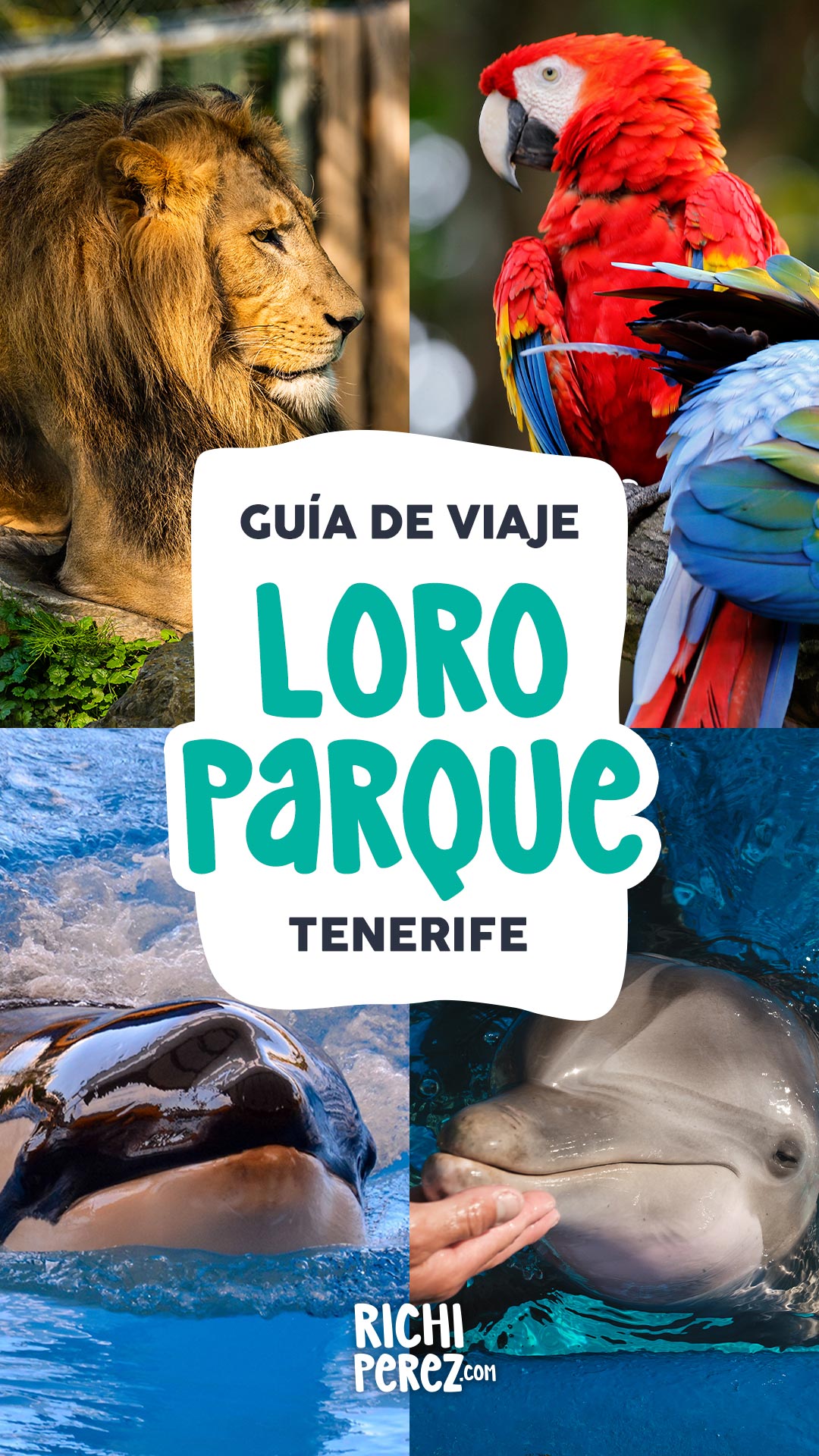 Guía de viaje Loro Parque Tenerife